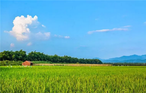 都市圈時代來了，鄉村振興的重大利好消息！