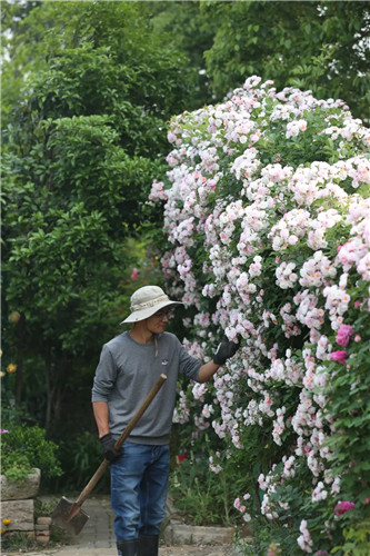 中國(guó)最時(shí)尚的未來(lái)花世界，帶你一探究竟！