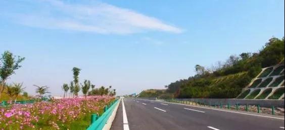 綠色通道綠地的設計與維護