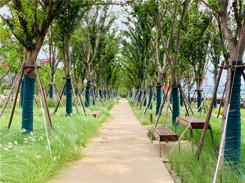 上海:楊浦濱江沉睡百年工業(yè)遺存走出歷史塵埃