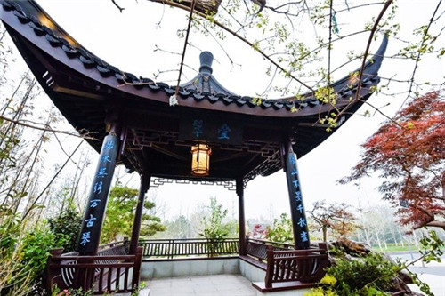 浙里故事｜深化設(shè)計(jì)，助力展園走上精品之路