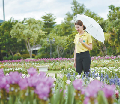 泰國(guó)皇家花園：透過(guò)園林和建筑藝術(shù)感知文化