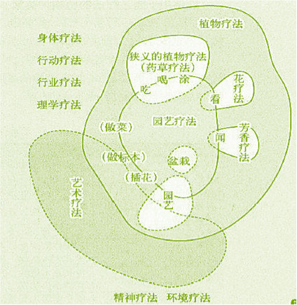 李樹華：園藝療法保持復(fù)工后身心健康