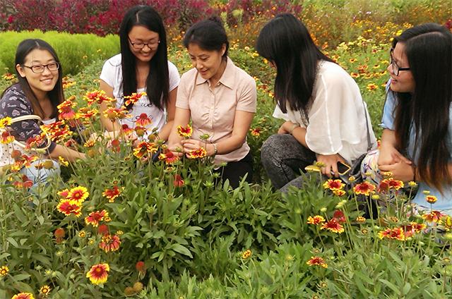 北林教授劉燕:生命繁花似錦