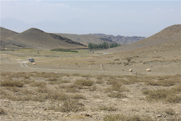 章俊華訪談:大地“衛(wèi)士”