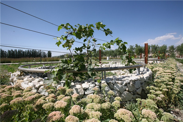 章俊華訪談:大地“衛(wèi)士”