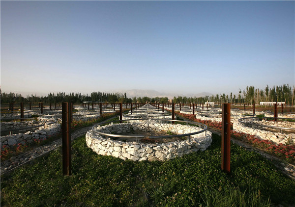 章俊華訪談:大地“衛(wèi)士”