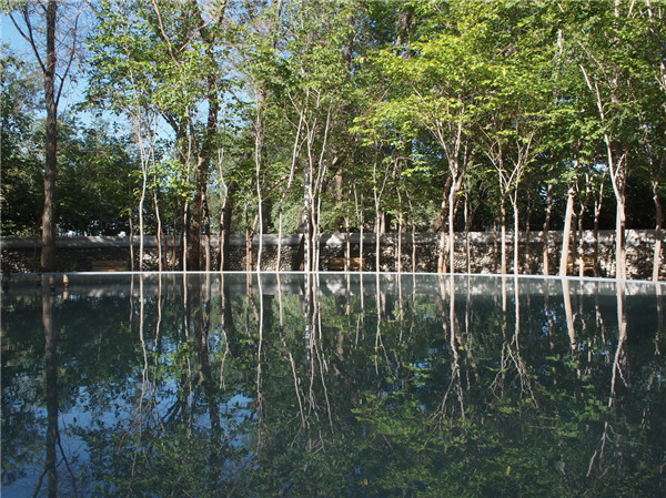 章俊華訪談:大地“衛(wèi)士”