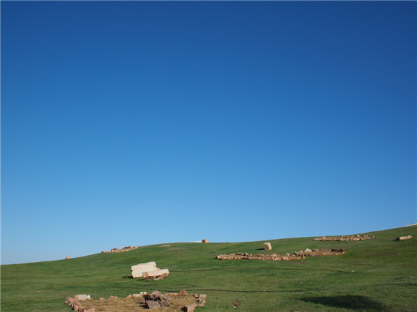 章俊華訪談:大地“衛(wèi)士”