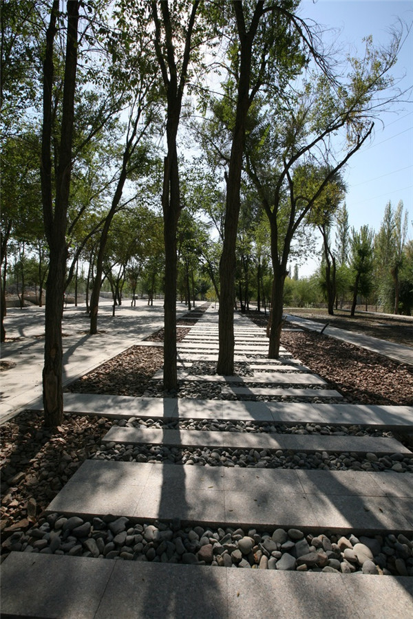 章俊華訪談:大地“衛(wèi)士”