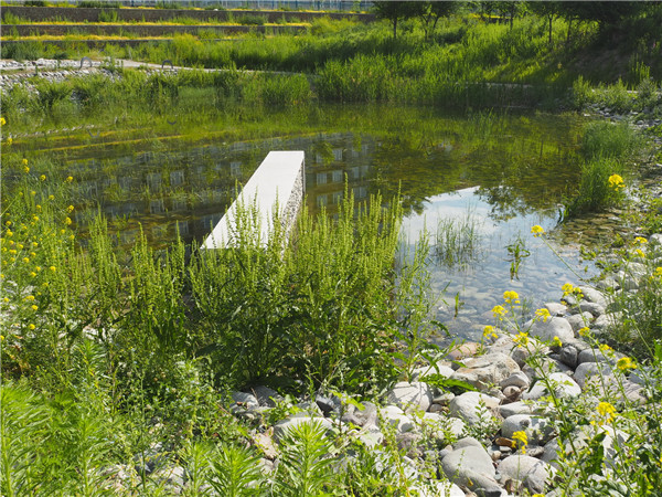 章俊華訪談:大地“衛(wèi)士”