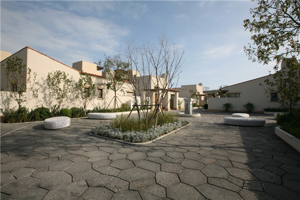 章俊華訪談:大地“衛(wèi)士”