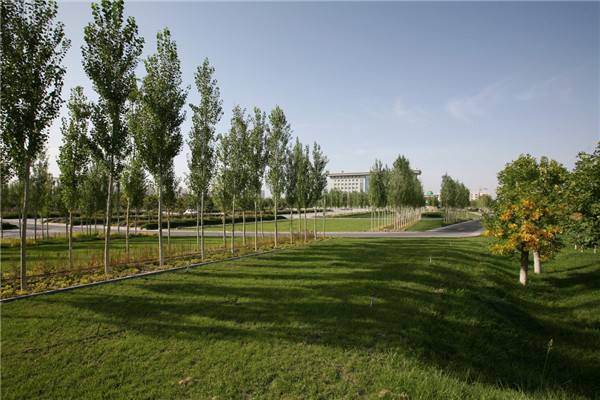 章俊華訪談:大地“衛(wèi)士”