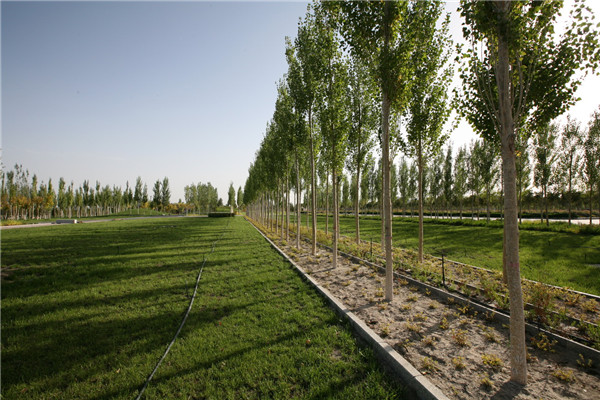 章俊華訪談:大地“衛(wèi)士”