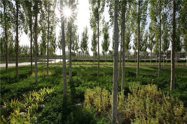 章俊華訪談:大地“衛(wèi)士”