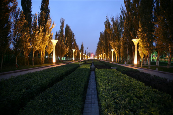 章俊華訪談:大地“衛(wèi)士”