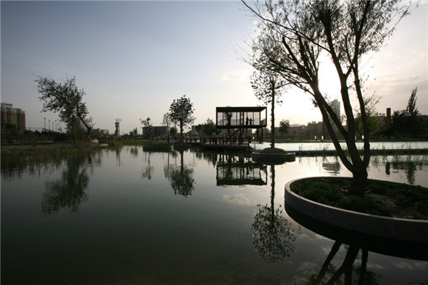 章俊華訪談:大地“衛(wèi)士”