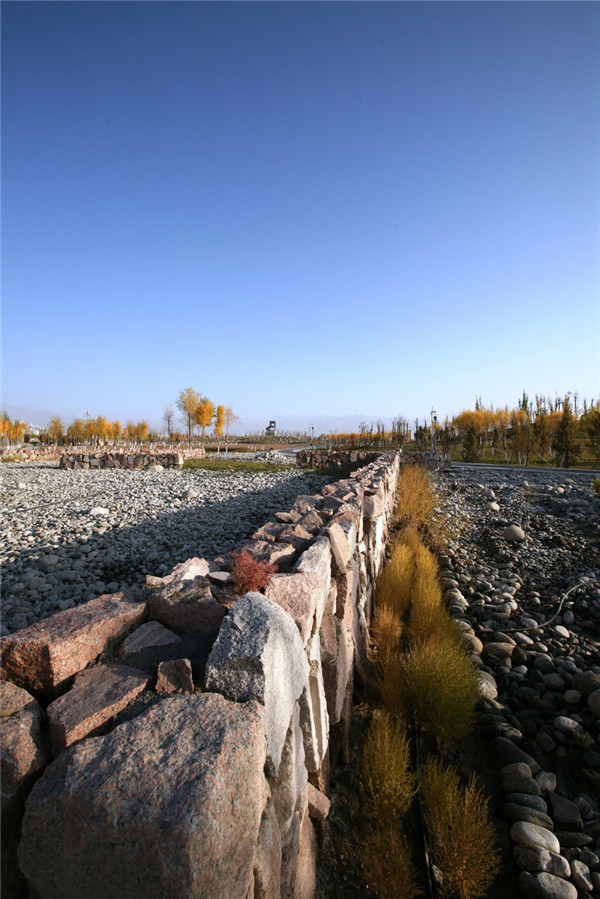 章俊華訪談:大地“衛(wèi)士”