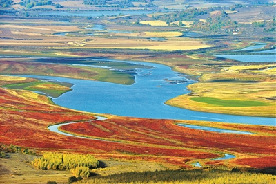 習近平關心濕地保護的故事