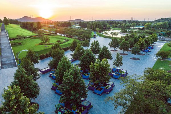 辰山植物園胡永紅:為城市保留泥土記憶
