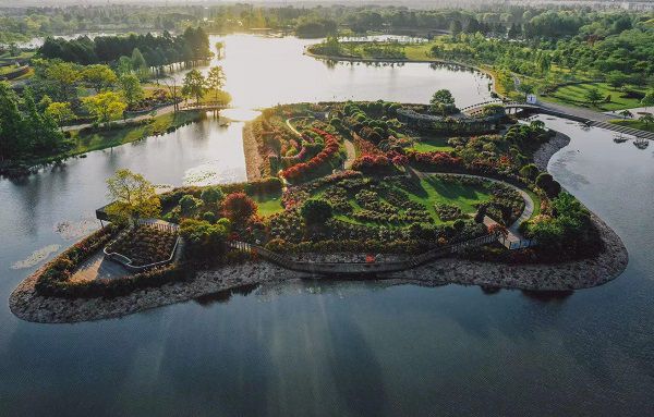 辰山植物園胡永紅:為城市保留泥土記憶