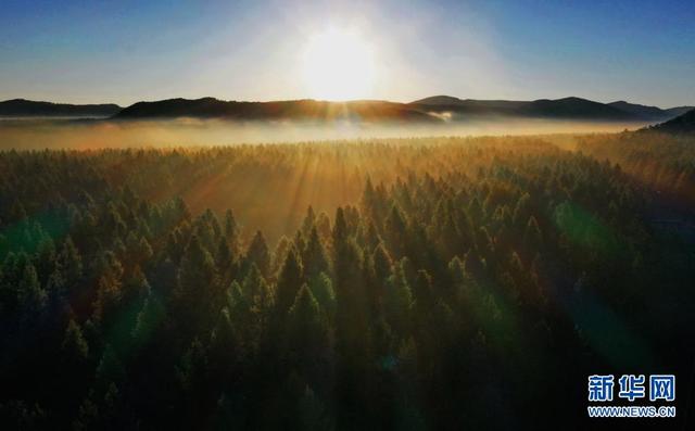 塞罕壩,習近平為何如此關注?