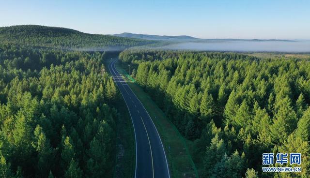 塞罕壩,習近平為何如此關注?