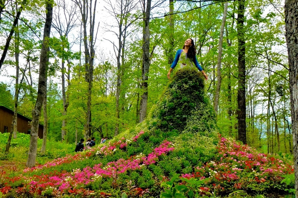 日本知名景觀設計師高野文彰逝世