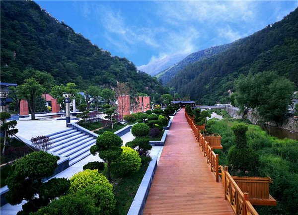 黎妮:為西部美麗鄉村注入新活力