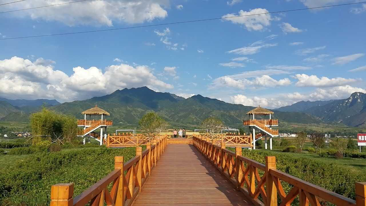 黎妮:為西部美麗鄉村注入新活力