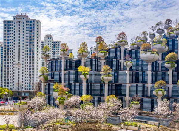 天安千樹(shù)濱河花園及一二樓平臺(tái)花園