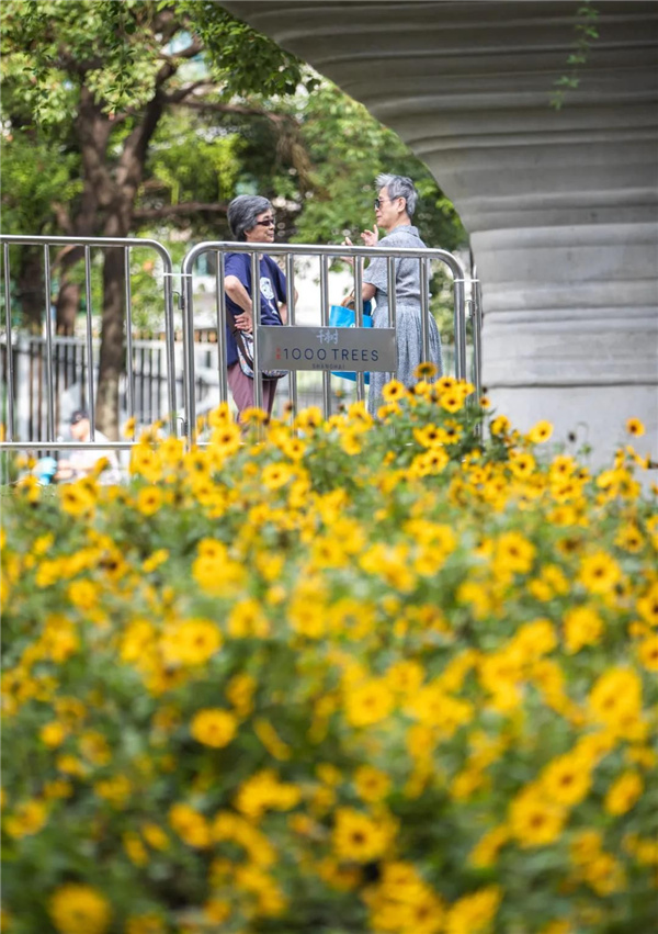 天安千樹(shù)濱河花園及一二樓平臺(tái)花園