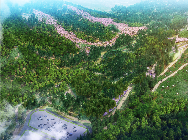 “道法自然”打造崇禮冬奧生態(tài)廊道景觀