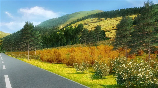 “道法自然”打造崇禮冬奧生態(tài)廊道景觀