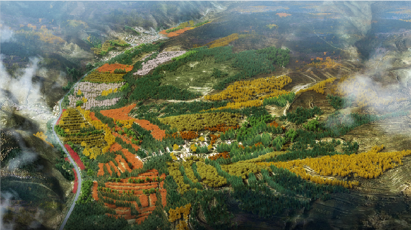 “道法自然”打造崇禮冬奧生態(tài)廊道景觀