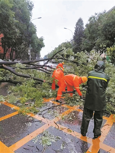 北京市園林綠化局有力應(yīng)對強降雨天氣