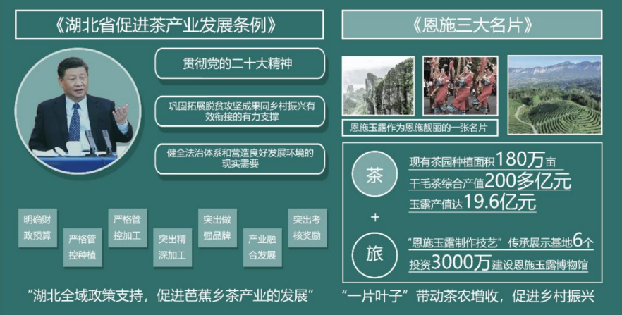 第二屆鄉(xiāng)村振興國(guó)際聯(lián)合畢業(yè)設(shè)計(jì)三等獎(jiǎng)作品丨玉露緣起·傳承共生