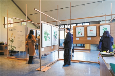 “植愈”科學(xué)畫展覽在京開幕