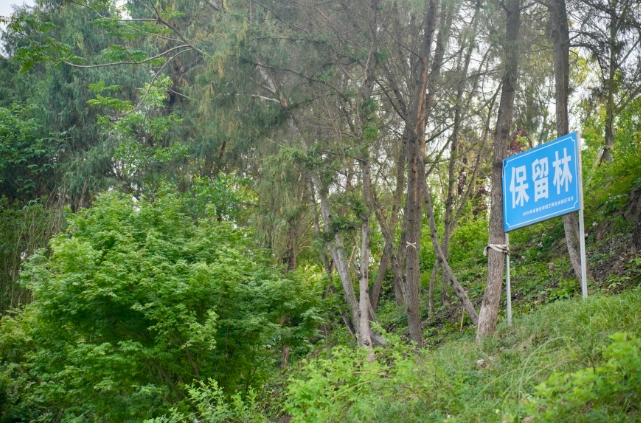 成都世園會(huì)如何低碳？記者實(shí)地探訪