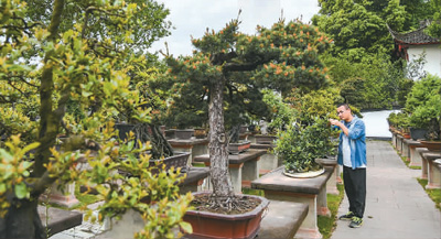 走進(jìn)成都世園會：山水園林帶動文旅消費