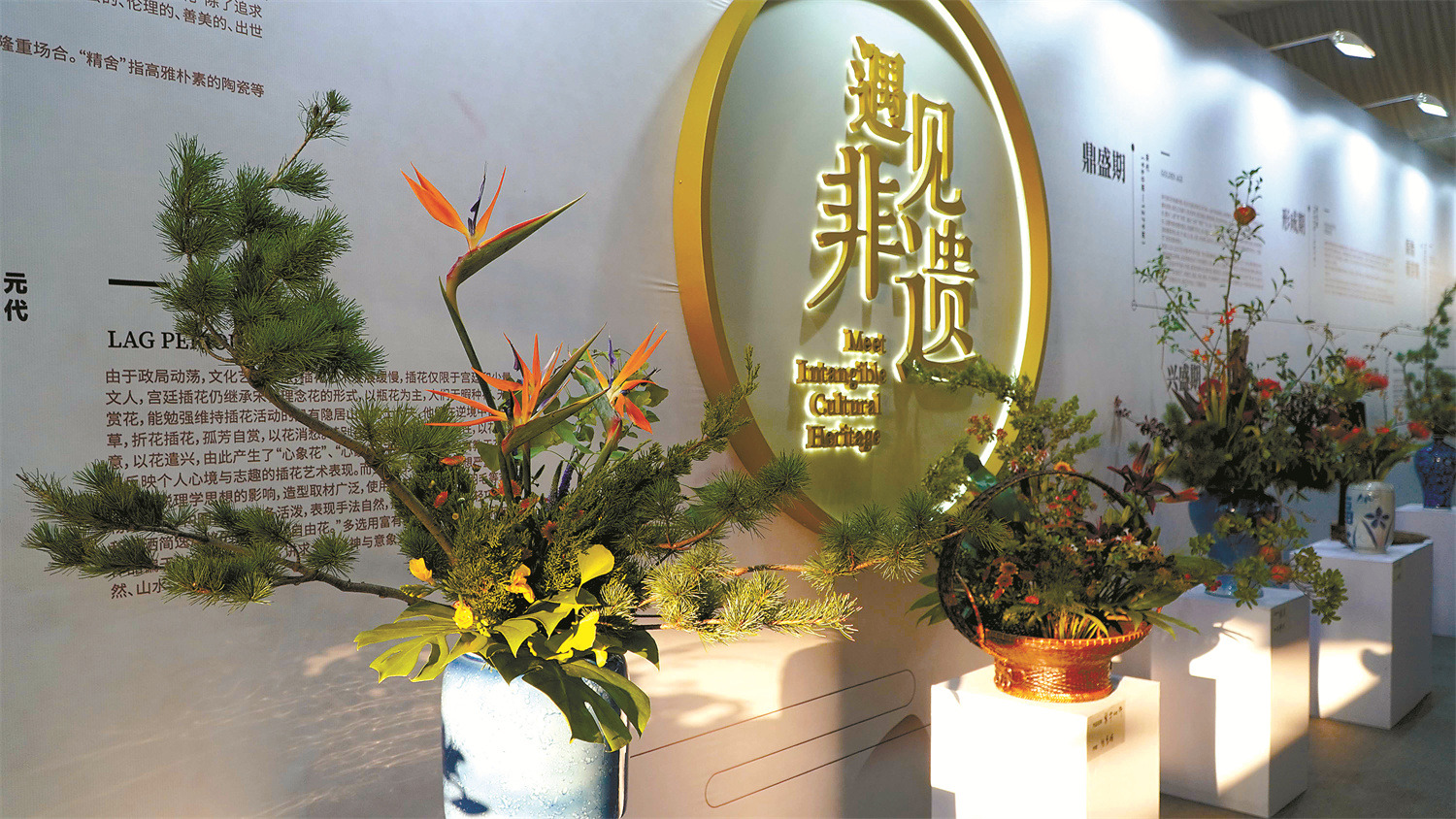 首屆中國(guó)家庭園藝展覽會(huì)在江蘇常州舉辦