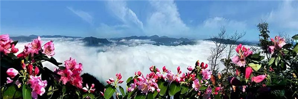 瀘古高速服務(wù)區(qū)及周邊地塊城市設(shè)計競賽，邀您參加