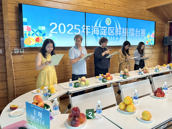 碩果飄香·豐涵海淀 | 北京舉辦鮮桃擂臺(tái)賽系列活動(dòng)