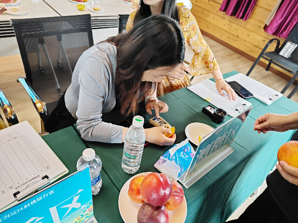 碩果飄香·豐涵海淀 | 北京舉辦鮮桃擂臺(tái)賽系列活動(dòng)