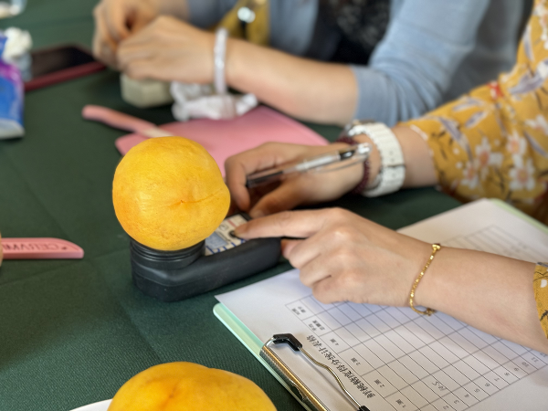 碩果飄香·豐涵海淀 | 北京舉辦鮮桃擂臺(tái)賽系列活動(dòng)