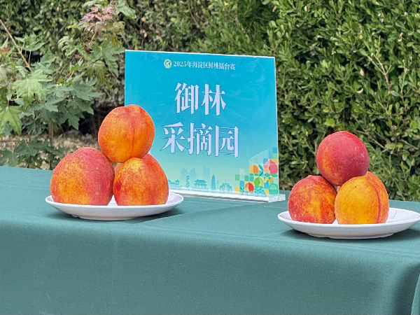碩果飄香·豐涵海淀 | 北京舉辦鮮桃擂臺(tái)賽系列活動(dòng)