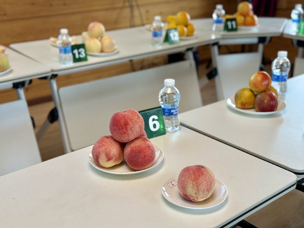 碩果飄香·豐涵海淀 | 北京舉辦鮮桃擂臺(tái)賽系列活動(dòng)