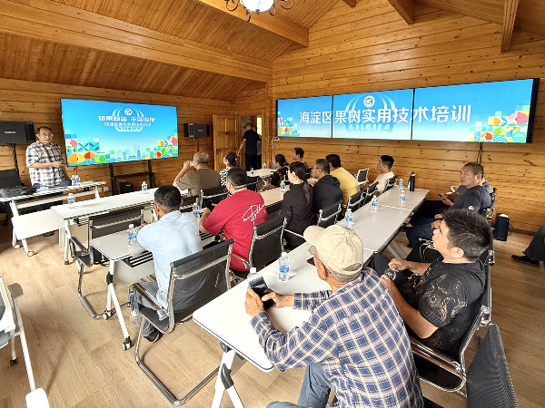 碩果飄香·豐涵海淀 | 北京舉辦鮮桃擂臺(tái)賽系列活動(dòng)