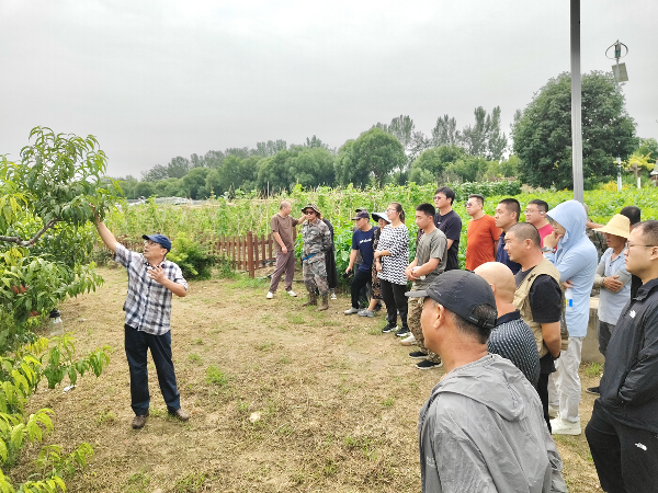 碩果飄香·豐涵海淀 | 北京舉辦鮮桃擂臺(tái)賽系列活動(dòng)