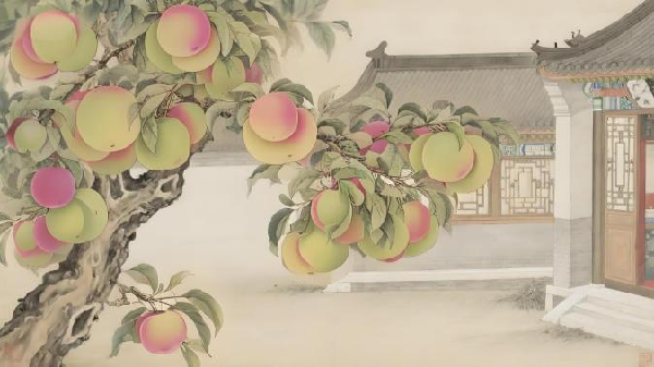 碩果飄香·豐涵海淀丨海淀李子：紫玉垂枝，酸甜馥郁